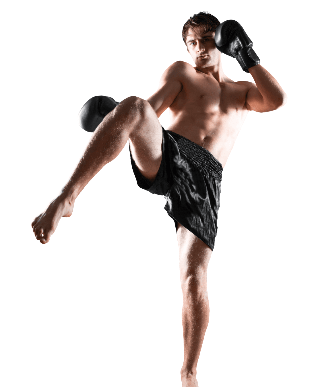 Phoenix Fight Academy and Fitness logo