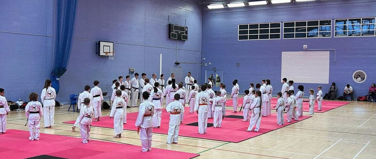 Main image of Phoenix SMA - Hamble (Freestyle TaeKwonDo & Brazilian Jiu Jitsu)