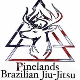 Pinelands Brazilian Jiu Jitsu logo
