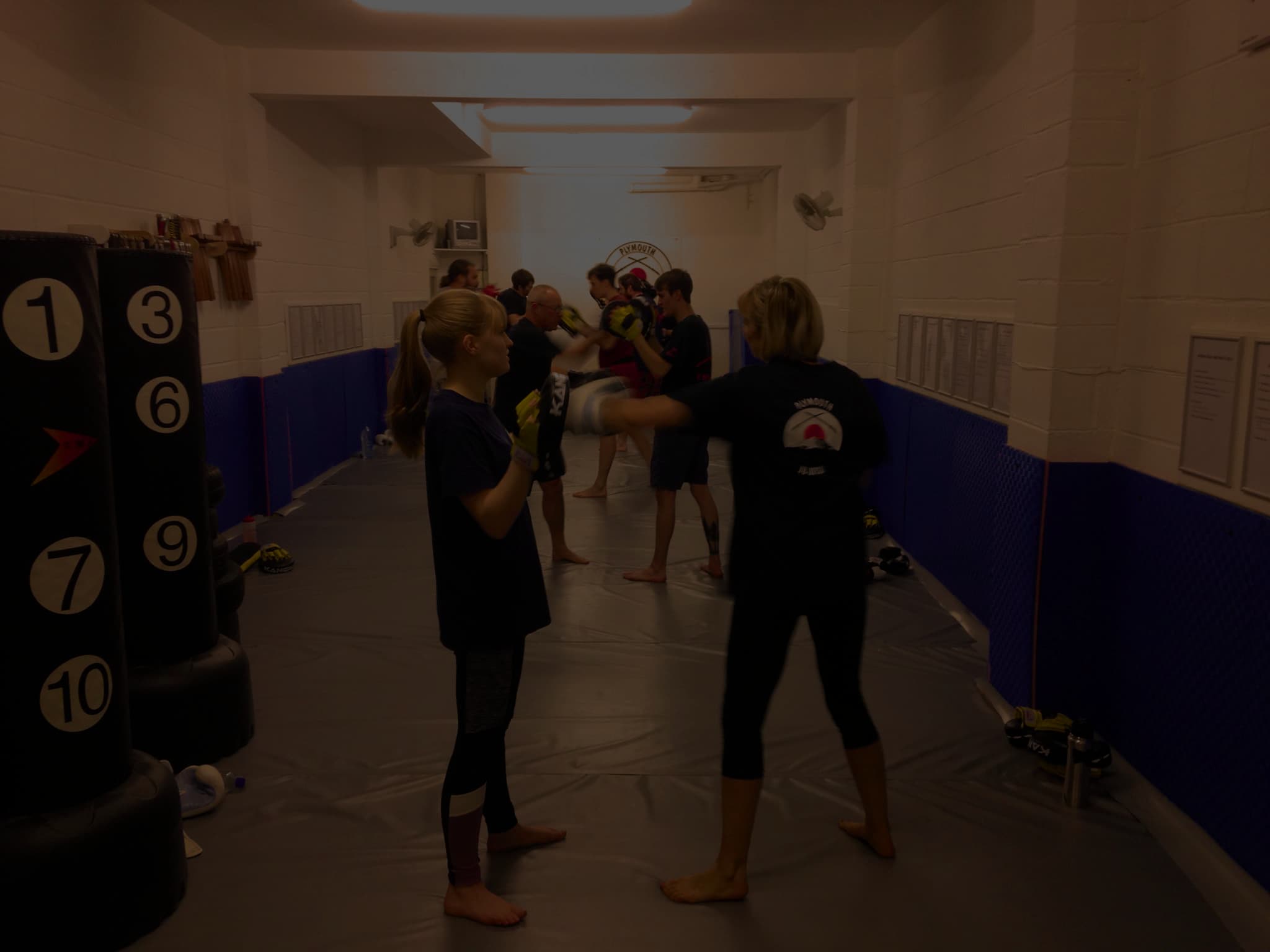Plymouth Ju Jitsu logo