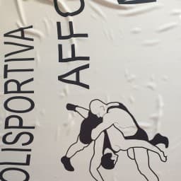 Polisportiva Affori Milano logo