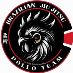 Pollo team logo