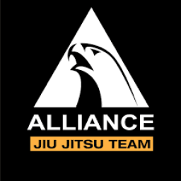 Port Huron Jiu Jitsu Academy logo