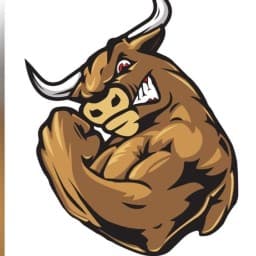 Power Bull logo