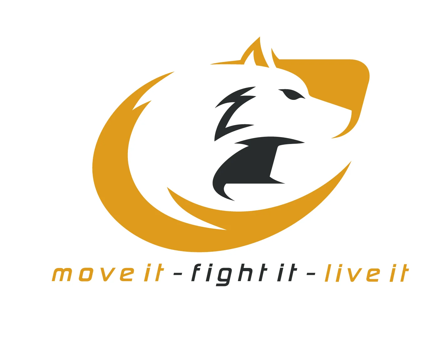 Power Sports Club / Kickboxen Zürich logo