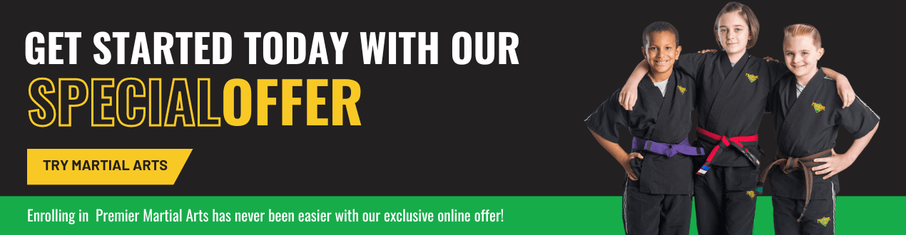 Premier Martial Arts Hamburg logo
