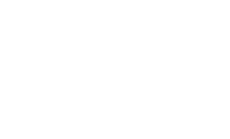 Preussen-Ringer - Ringen in Berlin Karow logo