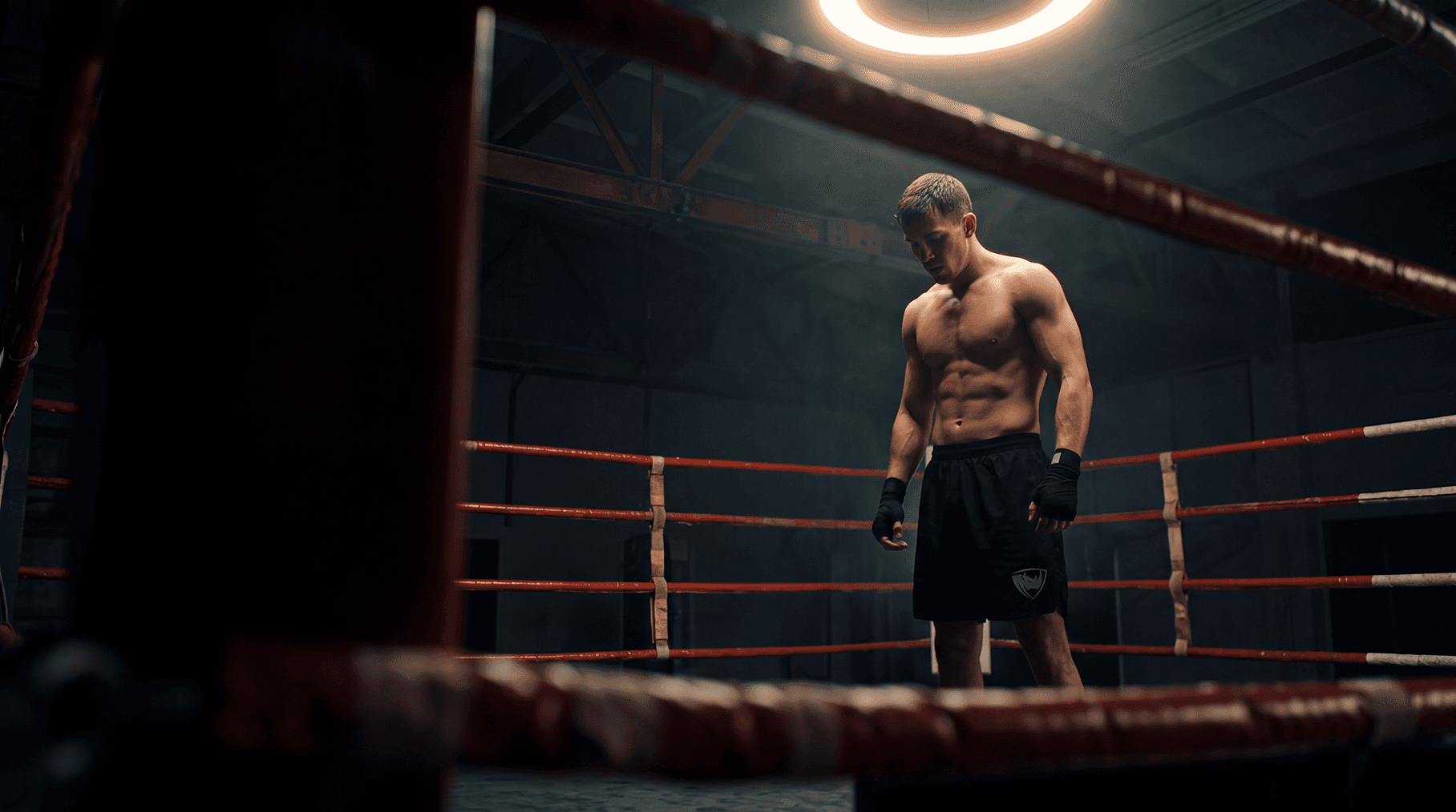 PRO FIGHT CLUB logo