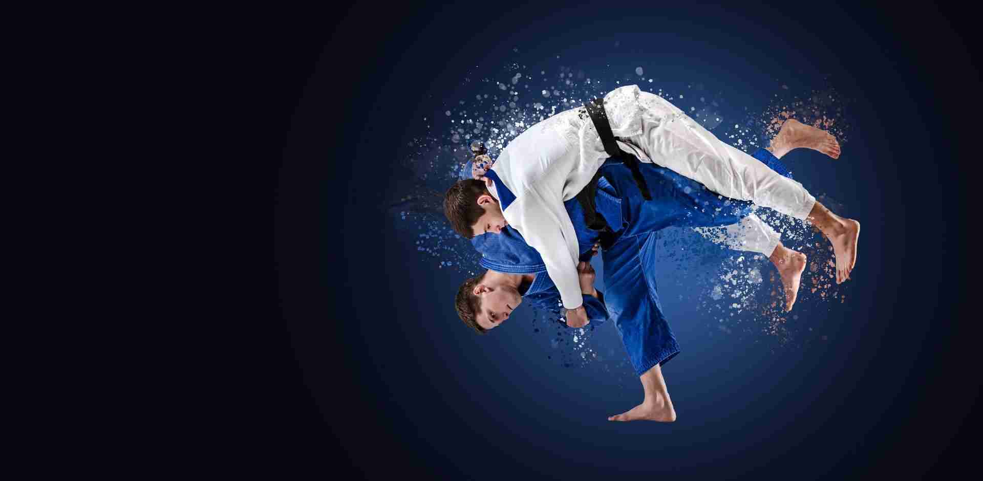 Main image of ProJudo