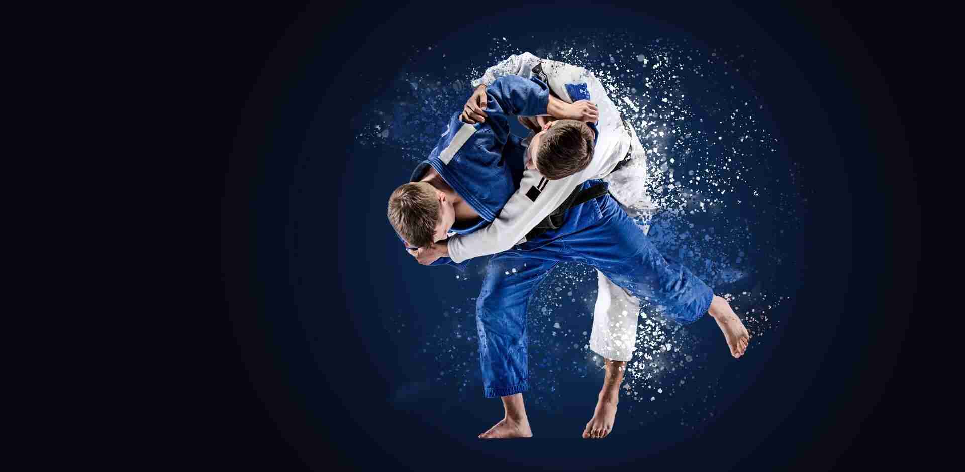 ProJudo logo