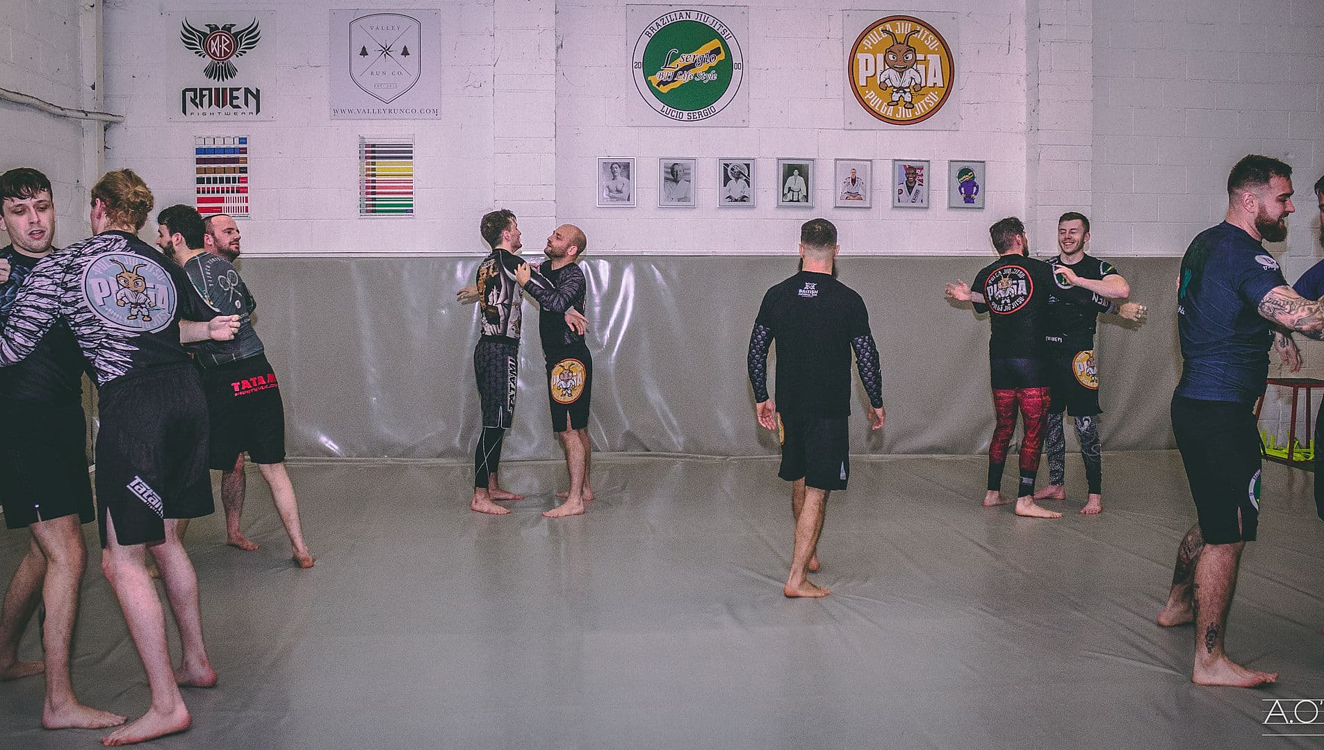 Main image of Pulga Jiu Jitsu - BJJ Wigan