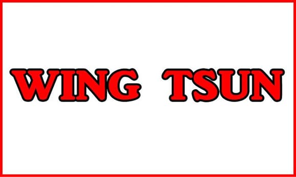 Main image of Pwtsra - Wing Tsun Lyon