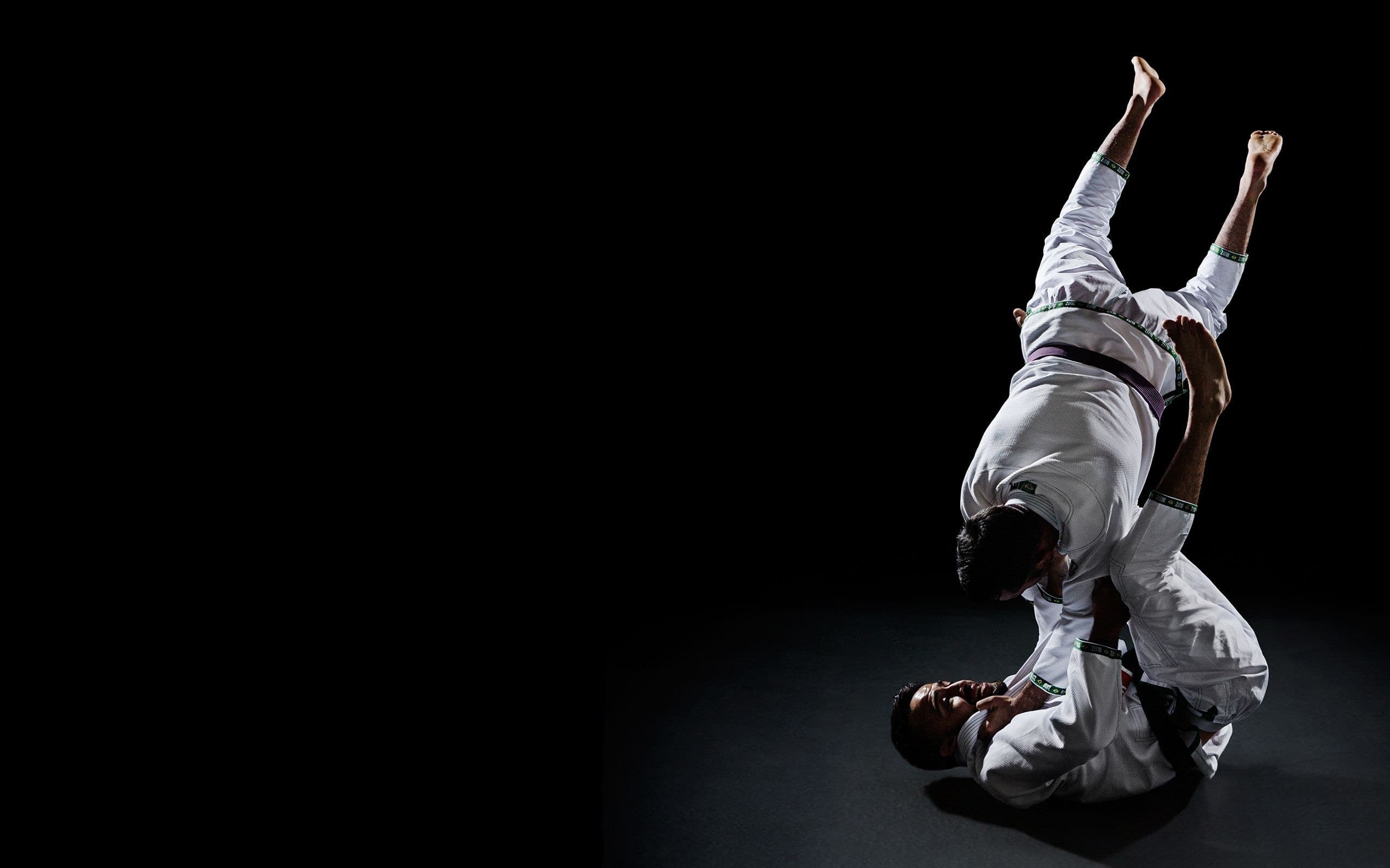 Python Jiu-Jitsu Academy logo