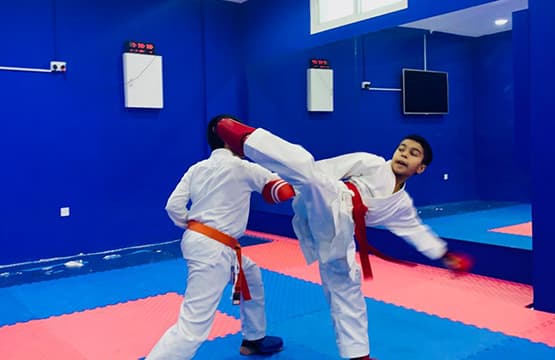 Main image of Qatar Karate