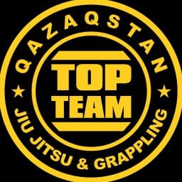 Qazaqstan Top Team: Main logo
