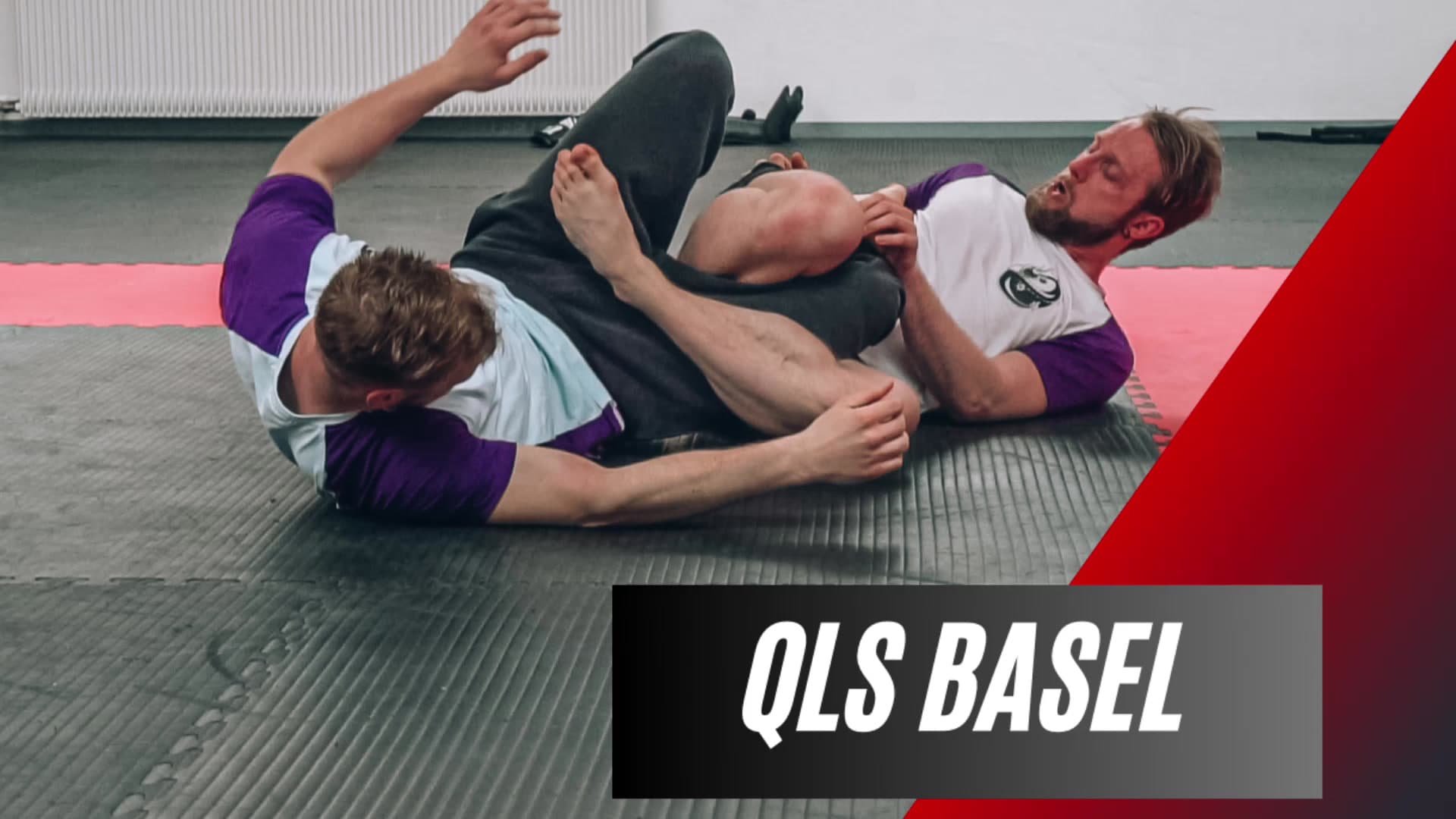 Main image of | QLS MMA | Kampfsport & Selbstverteidigung in Basel. Kung Fu, Boxing, Kickboxing, Sanda, Chin Na, Muay Thai, MMA, Grappling