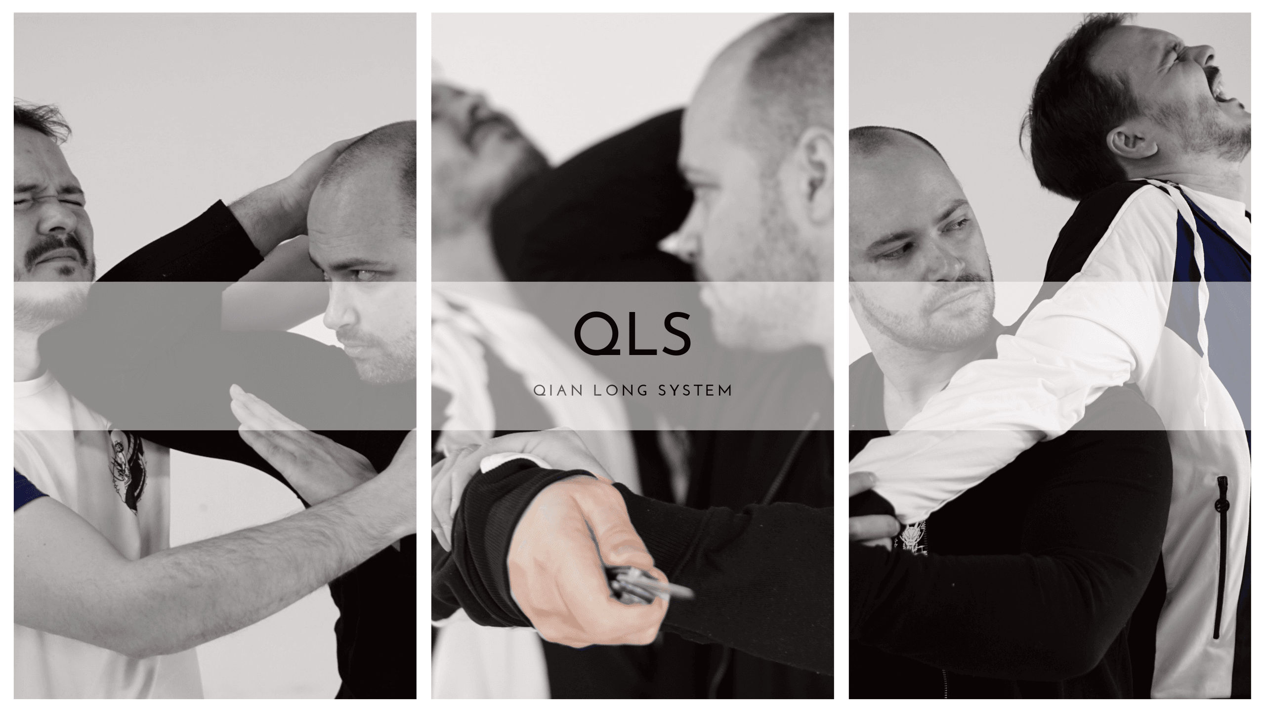 | QLS MMA | Kampfsport & Selbstverteidigung in Basel. Kung Fu, Boxing, Kickboxing, Sanda, Chin Na, Muay Thai, MMA, Grappling logo