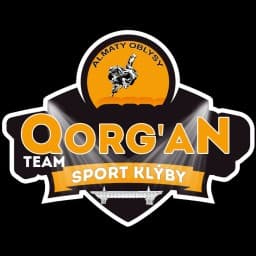 QORGAN TEAM logo
