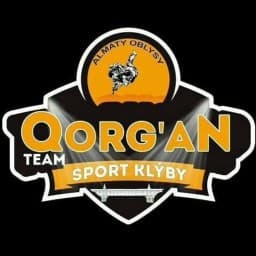 QORGAN_TEAM logo