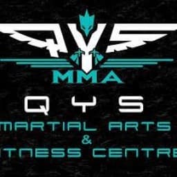 QYS Wushu and MMA Academy (Batu Pahat logo