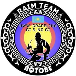 Raim Team logo