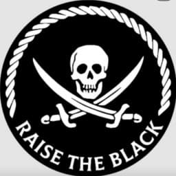 RAISE THE BLACK logo