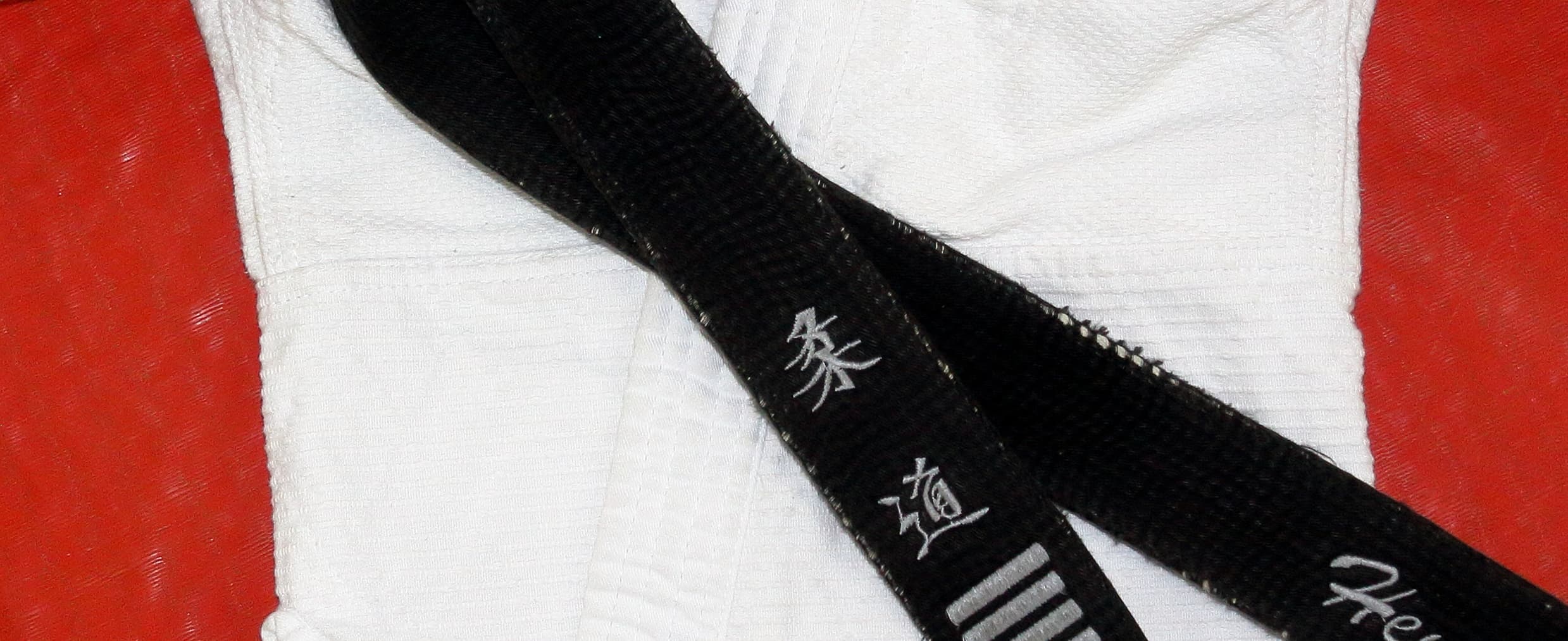 Main image of Randori Leipzig-West e.V.