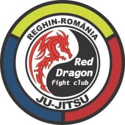 Red Dragon Reghin logo