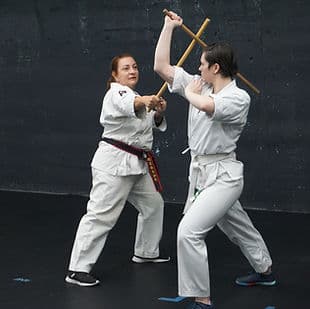 Main image of Red Wolf Dojo