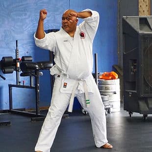 Red Wolf Dojo logo