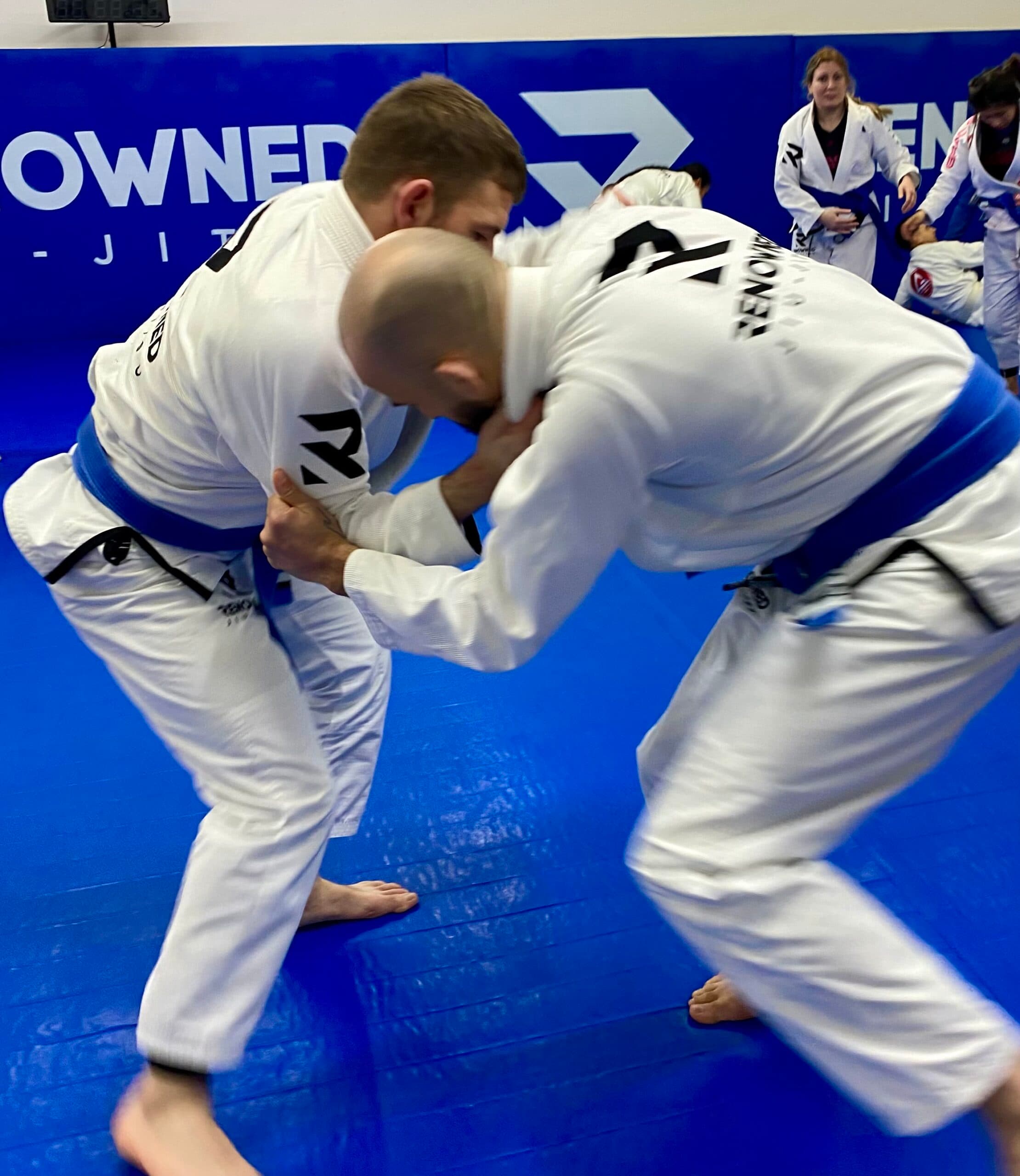 Main image of Renowned Jiu Jitsu York
