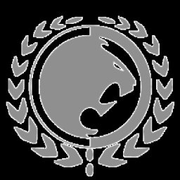 Renzo Gracie McAllen Jiu Jitsu & Self Defense logo
