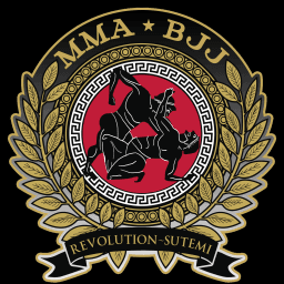 REVOLUTION LUDUS logo