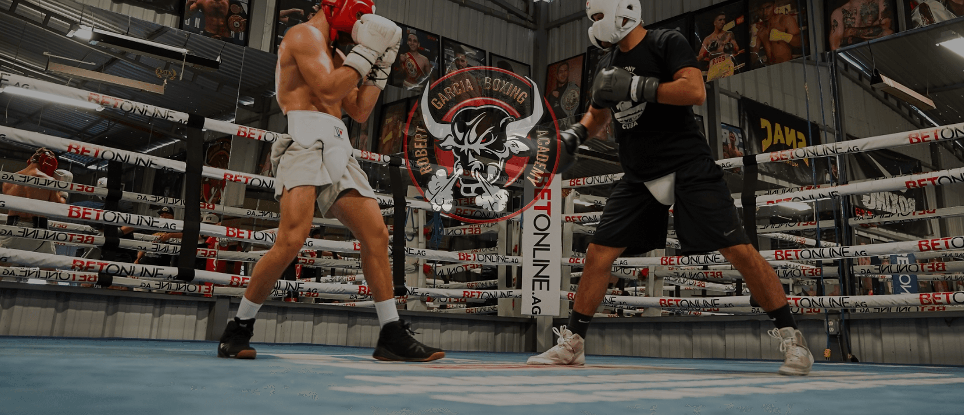 Main image of RGBA PRO