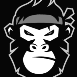 Richard Ho BJJ logo