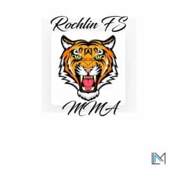 Rochlin FS MMA & Fitness logo