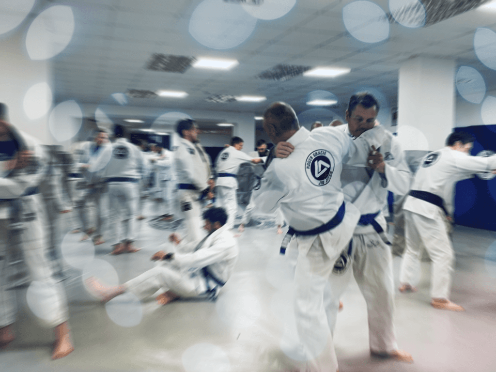 Main image of Roger Gracie Academy Bolton