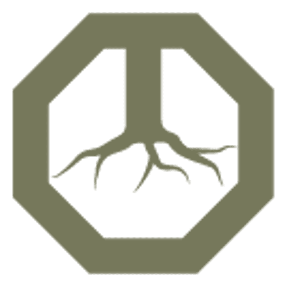 RootsMMA - Kampfsportschule für Striking, Grappling und Ringen logo