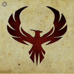 RYSE MMA logo