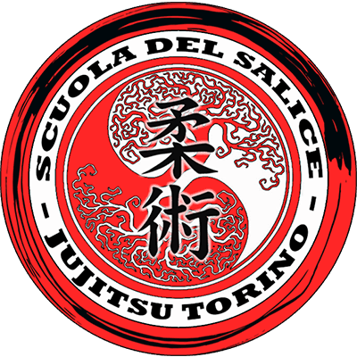 Main image of SCUOLA DEL SALICE - JUJITSU TORINO