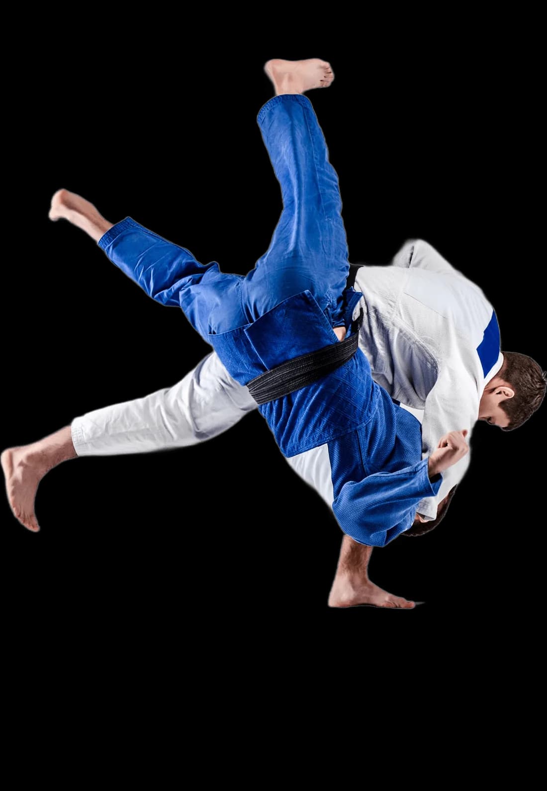 Main image of Scuola Saiken Judo