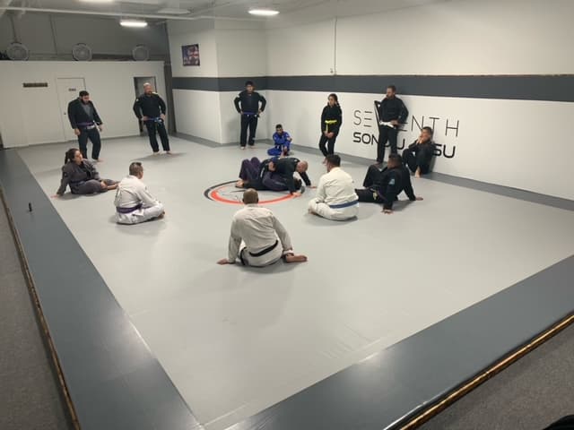 Main image of Seventh Son Jiu-Jitsu / Wildomar
