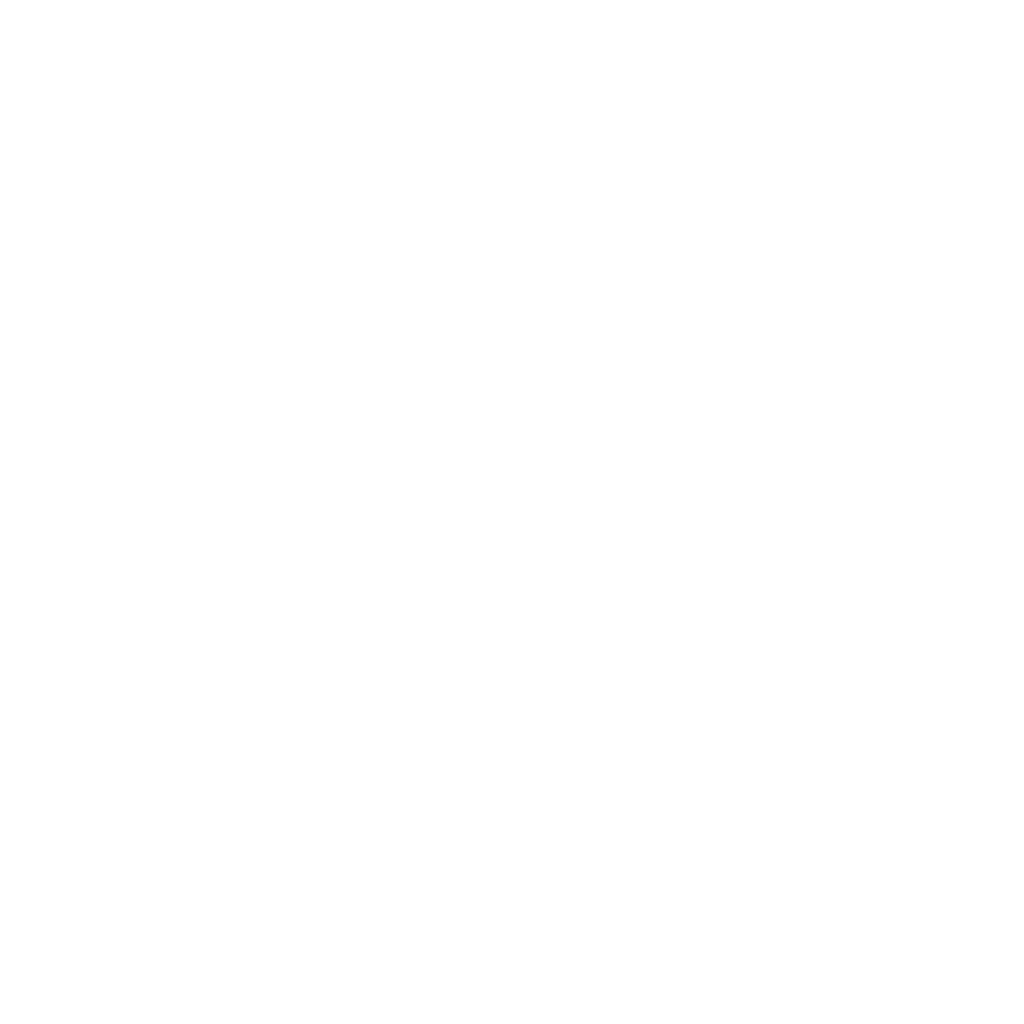 Shaka BJJ Academy logo