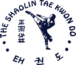 Main image of Shaolin Taekwondo