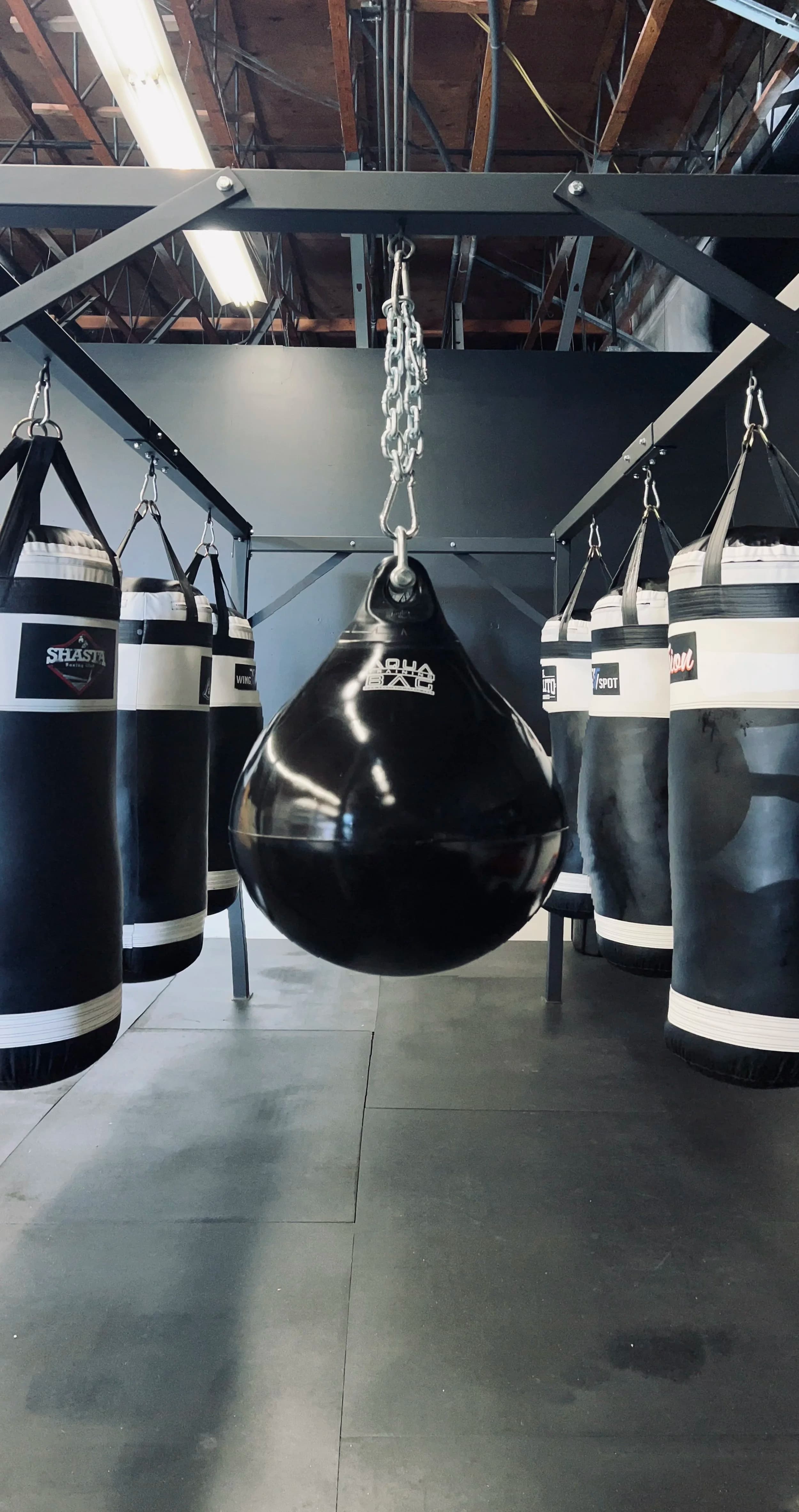 Main image of Shasta Boxing Club