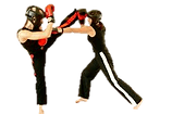 Sheffield Academy of Martial Arts logo