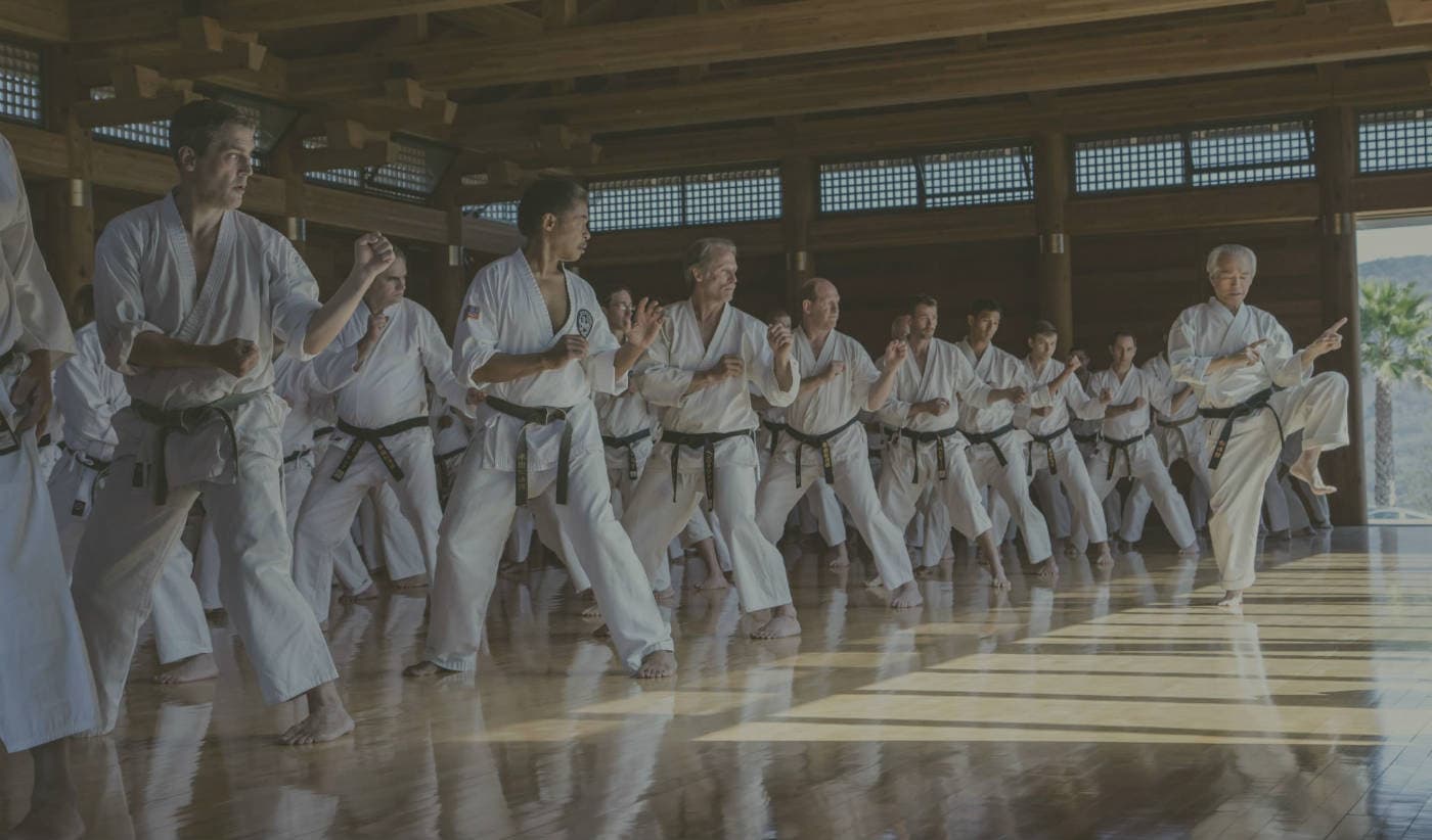 Shotokan Karate of America, San Jose Dojo logo