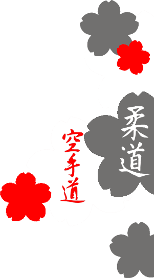 Main image of Shudokan Austria