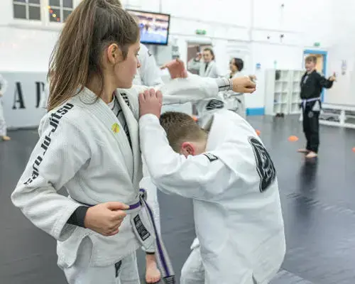 Main image of SJA Martial Arts