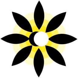 Solarte BJJ logo